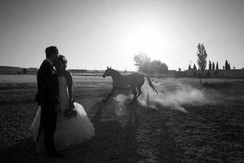 Fotografia de Love Weddings - Galeria Fotografica: Fotos de boda - Foto: 