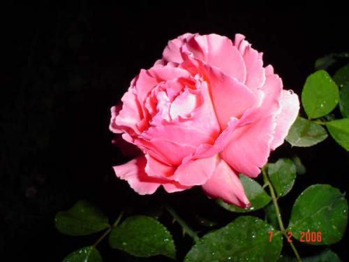 Fotografia de ALMAyVIDA - Galeria Fotografica: Gestos de Amor - Foto: solo para ti