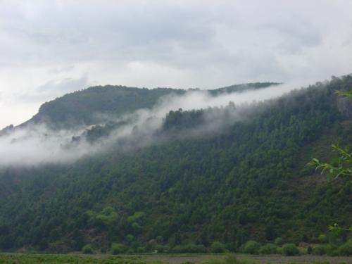 Fotografia de  - Galeria Fotografica: MAJESTUOSIDAD DE NATURA - Foto: Rocio