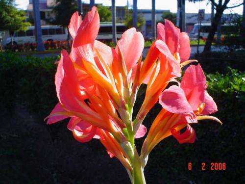 Fotografia de ALMAyVIDA - Galeria Fotografica: Gestos de Amor - Foto: mariposa