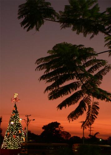 Fotografia de compufoto - Galeria Fotografica: Atardecer - Foto: 