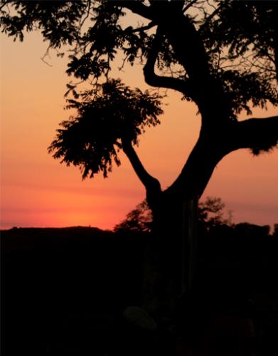 Fotografia de compufoto - Galeria Fotografica: Atardecer - Foto: Mazate 2