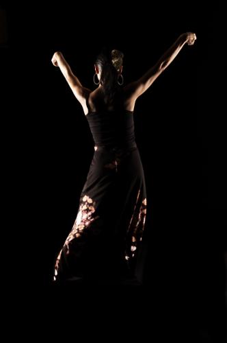 Fotografia de Javier Gilabert - Galeria Fotografica: Baile - Foto: 