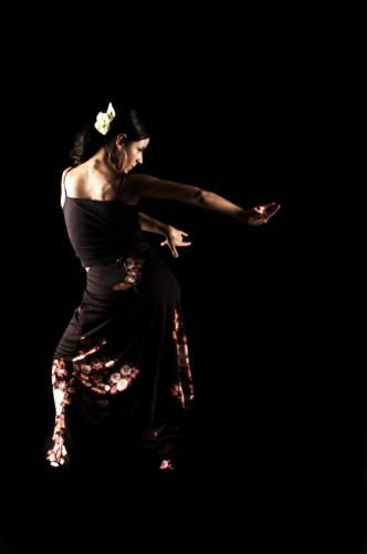 Fotografia de Javier Gilabert - Galeria Fotografica: Baile - Foto: 