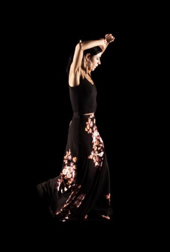 Fotografia de Javier Gilabert - Galeria Fotografica: Baile - Foto: 