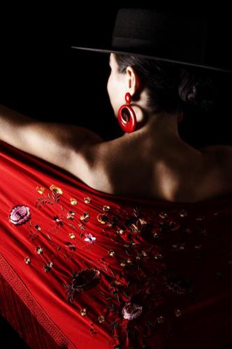 Fotografia de Javier Gilabert - Galeria Fotografica: Baile - Foto: 