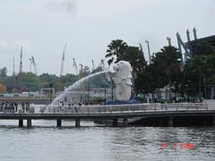 Fotografia de neonato - Galeria Fotografica: SINGAPOUR - Foto: 