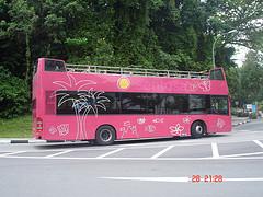 Fotografia de neonato - Galeria Fotografica: SINGAPOUR - Foto: SINGA