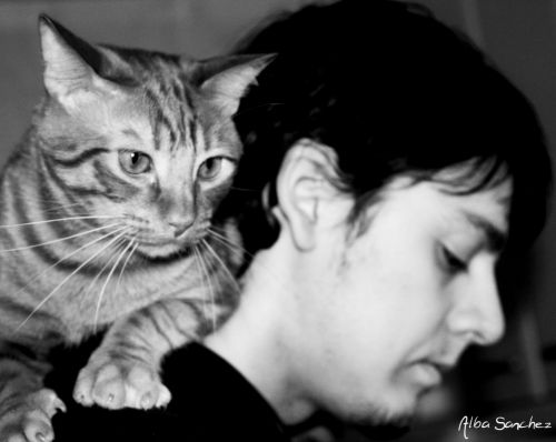 Fotografia de AlbaSnchezC. - Galeria Fotografica: Gatos - Foto: 