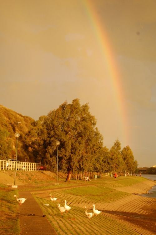 Fotografia de yaddok - Galeria Fotografica: paisajes de viedma - Foto: colores del verano