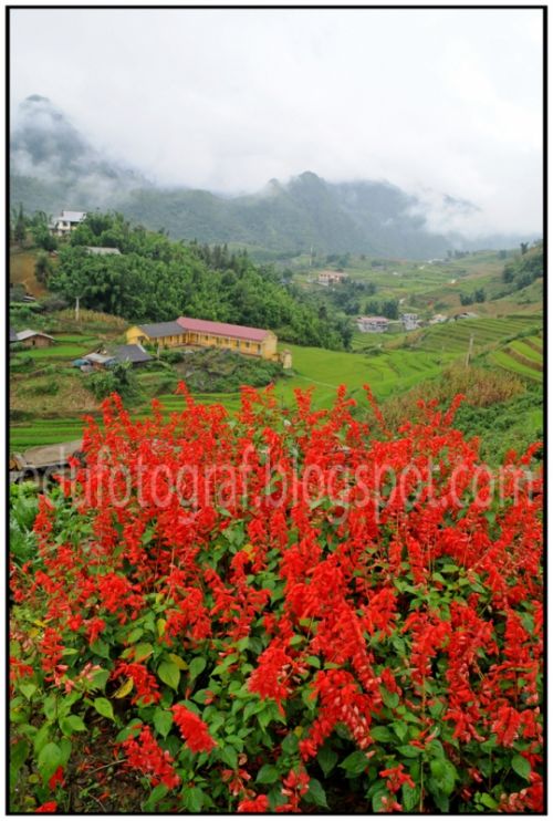 Fotografia de fotoproduccions - Galeria Fotografica: Vietnam - Foto: 