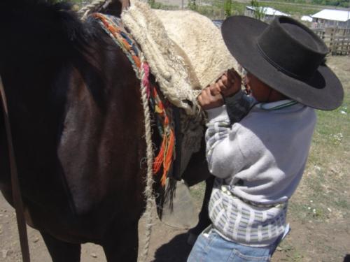 Fotografia de  - Galeria Fotografica: CONSTRUYENDO SONRISAS - Foto: El caballo y su ni�o