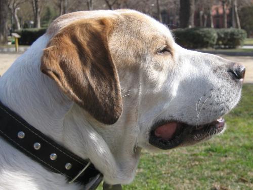 Fotografia de record - Galeria Fotografica: Record - Foto: Record