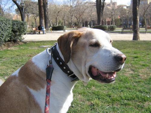 Fotografia de record - Galeria Fotografica: Record - Foto: sonrisa