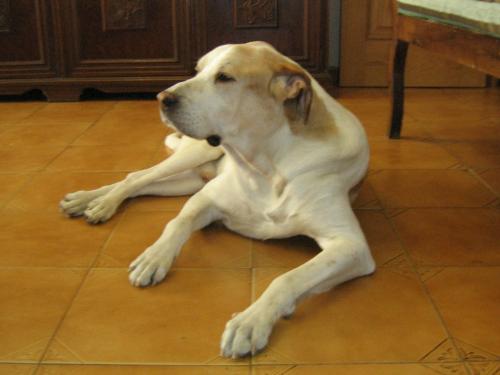 Fotografia de record - Galeria Fotografica: Record - Foto: desnudo