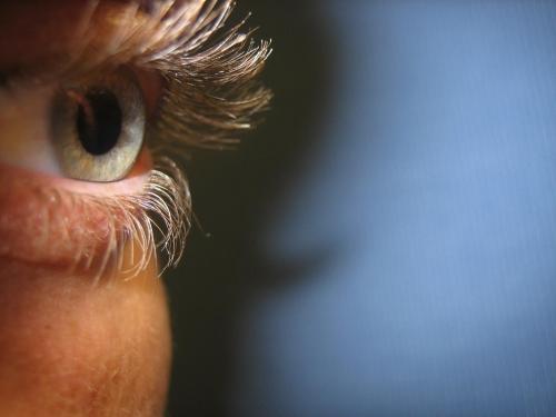 Fotografia de AAC Sinfilm - Galeria Fotografica: Sinfilm - Foto: Mi Ojo