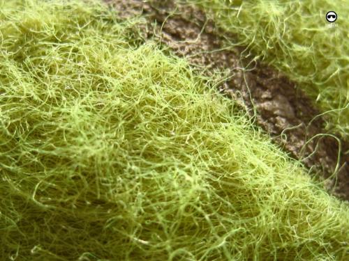 Fotografia de AAC Sinfilm - Galeria Fotografica: Sinfilm - Foto: Pampa smash