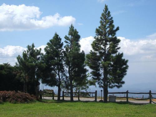 Fotografia de osiris - Galeria Fotografica: reuni�n en las lomas - Foto: 