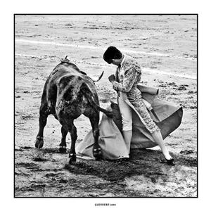 Fotografia de eguerrerog - Galeria Fotografica: Toros - Foto: Ol