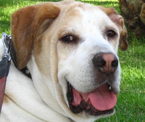 Fotografia de record - Galeria Fotografica: Record - Foto: expresin