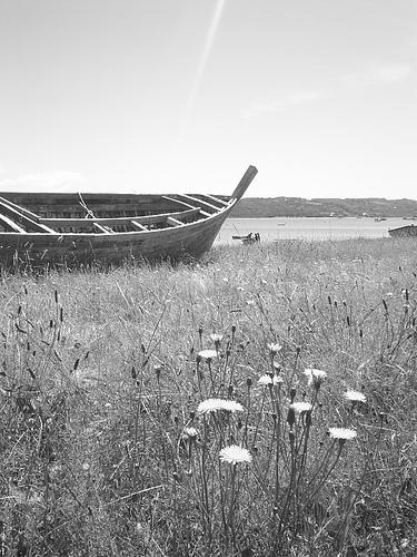 Fotografia de Fes_dsG - Galeria Fotografica: Chilo mgico. - Foto: Quilen