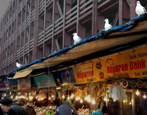 Fotografia de Elia Lpez - Galeria Fotografica: ISTANBUL - Foto: skdar