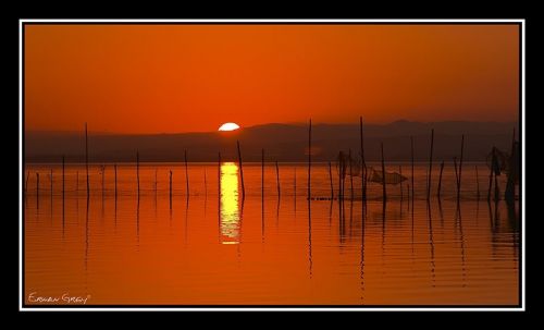 Fotografia de Erwan Grey - Galeria Fotografica: Erwan Grey Comunicacin (naturaleza) - Foto: 