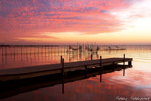 Fotografia de Erwan Grey - Galeria Fotografica: Erwan Grey Comunicacin (naturaleza) - Foto: 