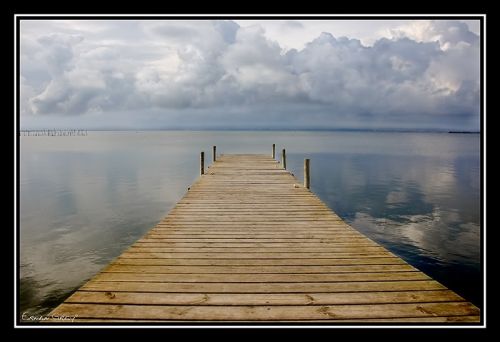 Fotografia de Erwan Grey - Galeria Fotografica: Erwan Grey Comunicacin (naturaleza) - Foto: 