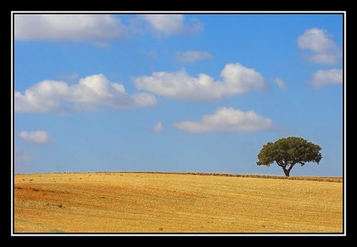 Fotografia de Erwan Grey - Galeria Fotografica: Erwan Grey Comunicacin (naturaleza) - Foto: 