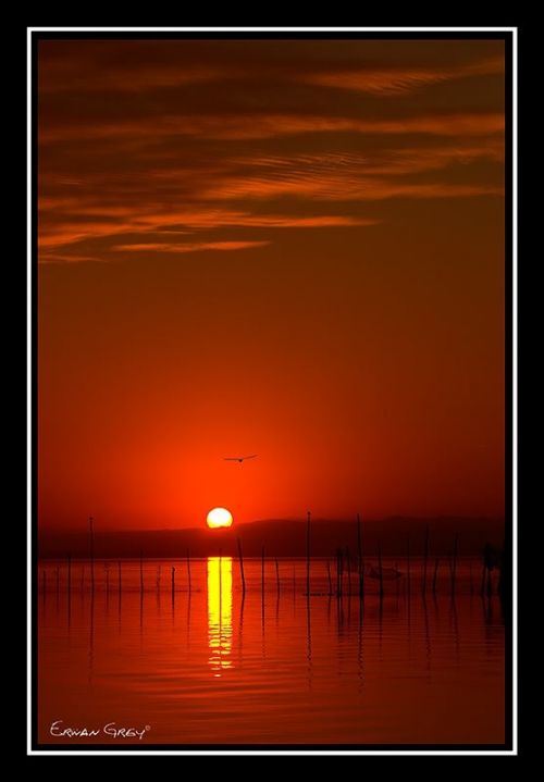 Fotografia de Erwan Grey - Galeria Fotografica: Erwan Grey Comunicacin (naturaleza) - Foto: 