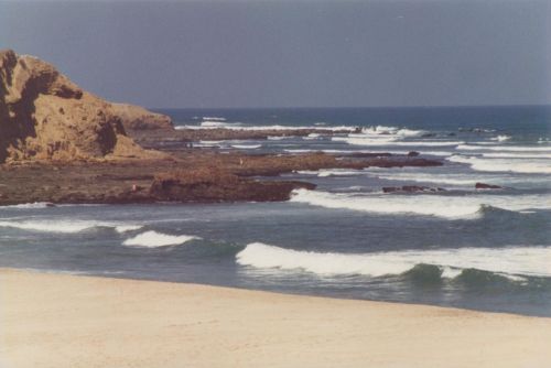 Fotografia de ENRIQUE ZEVALLOS (IMAGENES ZM) - Galeria Fotografica: NATURALEZA EN LA PLAYA - Foto: 