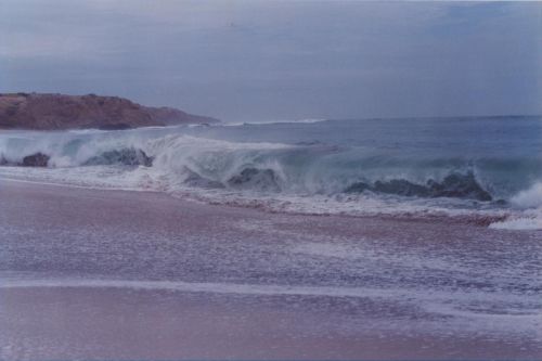 Fotografia de ENRIQUE ZEVALLOS (IMAGENES ZM) - Galeria Fotografica: NATURALEZA EN LA PLAYA - Foto: 