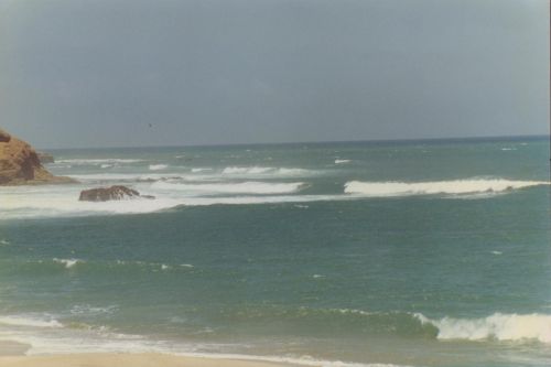 Fotografia de ENRIQUE ZEVALLOS (IMAGENES ZM) - Galeria Fotografica: NATURALEZA EN LA PLAYA - Foto: 