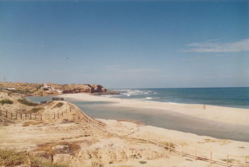 Fotografia de ENRIQUE ZEVALLOS (IMAGENES ZM) - Galeria Fotografica: NATURALEZA EN LA PLAYA - Foto: 