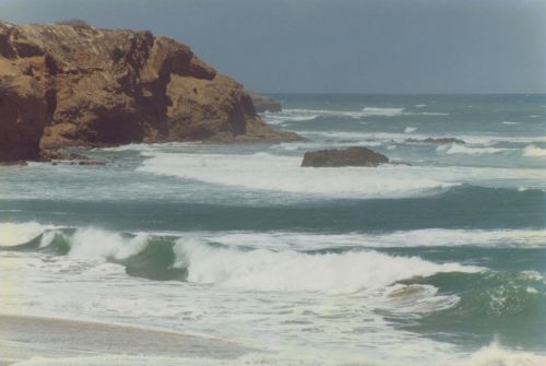 Fotografia de ENRIQUE ZEVALLOS (IMAGENES ZM) - Galeria Fotografica: NATURALEZA EN LA PLAYA - Foto: 