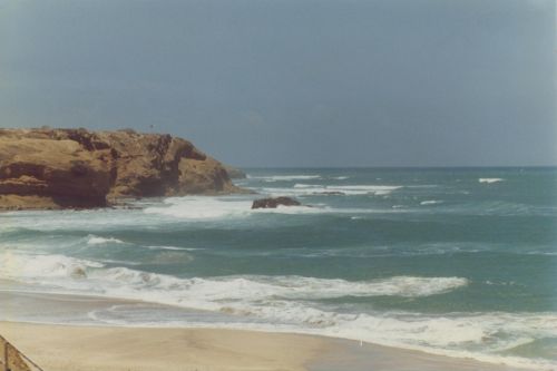 Fotografia de ENRIQUE ZEVALLOS (IMAGENES ZM) - Galeria Fotografica: NATURALEZA EN LA PLAYA - Foto: 