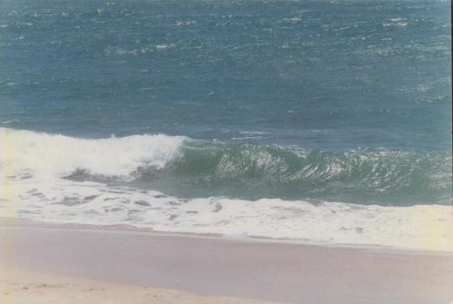 Fotografia de ENRIQUE ZEVALLOS (IMAGENES ZM) - Galeria Fotografica: NATURALEZA EN LA PLAYA - Foto: 