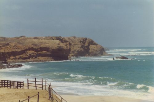 Fotografia de ENRIQUE ZEVALLOS (IMAGENES ZM) - Galeria Fotografica: NATURALEZA EN LA PLAYA - Foto: 