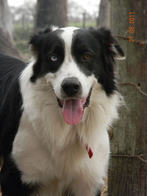 Fotografia de Mariela  - Galeria Fotografica: Incondicionales - Foto: 