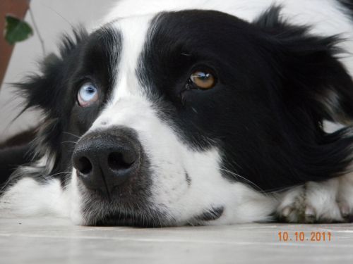 Fotografia de Mariela  - Galeria Fotografica: Incondicionales - Foto: Que sueo!