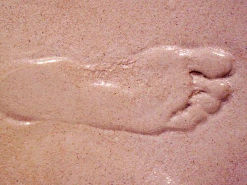 Fotografia de Charo Guijarro Izquierdo - Galeria Fotografica: CAPRICHOS DEL SOL - Foto: Puse un pie en Mexico