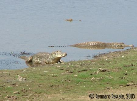 Fotografia de  - Galeria Fotografica: EL R�O DE LA VIDA - Foto: 