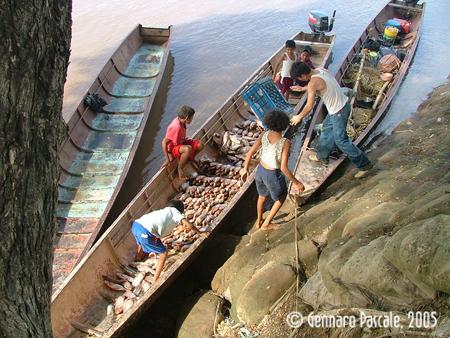 Fotografia de  - Galeria Fotografica: EL R�O DE LA VIDA - Foto: 