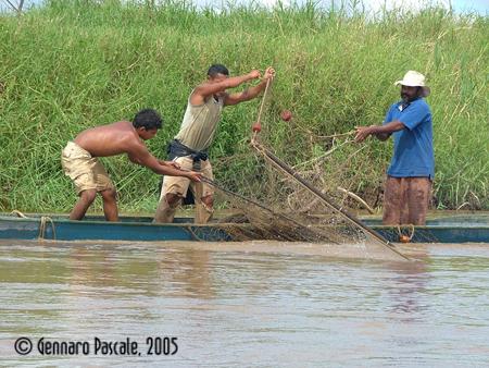 Fotografia de  - Galeria Fotografica: EL R�O DE LA VIDA - Foto: 