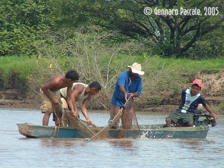 Fotografia de  - Galeria Fotografica: EL R�O DE LA VIDA - Foto: 