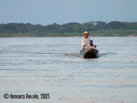 Fotografia de  - Galeria Fotografica: EL R�O DE LA VIDA - Foto: 