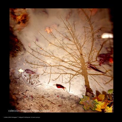 Fotografia de marquez - Galeria Fotografica: retrospectiva - Foto: Paris