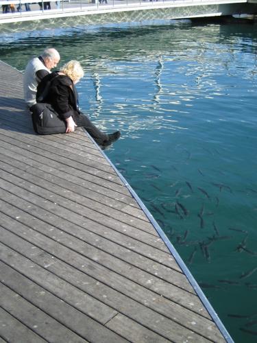 Fotografia de SARA LLOVERA - Galeria Fotografica: VERMUT AL SOL DE INVIERNO - Foto: AL CALOR DEL SOL