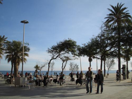 Fotografia de SARA LLOVERA - Galeria Fotografica: VERMUT AL SOL DE INVIERNO - Foto: HACEMOS UN VERMUT?